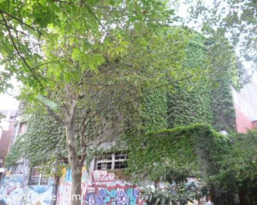 14623 7 PARQUE CHAS- UN LABERINTO MAGICO- POR LA JONES 