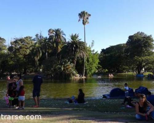 14747 17 GYM Y PASEO POR EL ROSEDAL Y LAGOS DE PALERMO.. DOMINGO > BY SUZIE Q