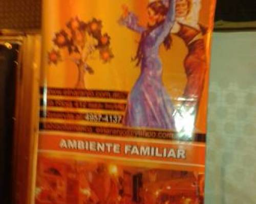 14857 51 RESTAURANT TABLAO FLAMENCO EL NARANJO > CENA Y SHOW