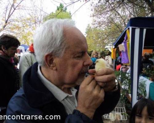 el pollito PIO :Encuentro Grupal FIESTA NACIONAL DEL MONDONGO Y LA TORTA FRITA