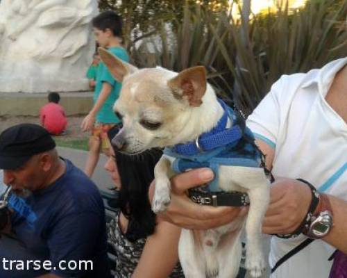 14908 11 PARQUE CENTENARIO: PASEO POR EL LAGO > DOMINGO A LA TARDE