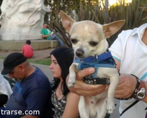 14908 12 PARQUE CENTENARIO: PASEO POR EL LAGO > DOMINGO A LA TARDE