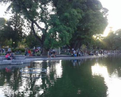 14908 7 PARQUE CENTENARIO: PASEO POR EL LAGO > DOMINGO A LA TARDE