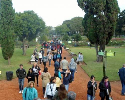 15117 3 CAMINATA POR LOS LAGOS