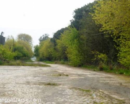 15276 16 URIBELARREA Y VICENTE CASARES- La industria Lechera al Recorrido Fílmico-DIA COMPLETO POR LA JONES