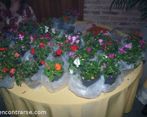 Hermoso !! Ya lo tenemos decorando el Jardin !!  :Encuentro Grupal ¨3er ANIVERSARIO DEL GN¨...cena, show, baile....y mucha diversiòn!!!