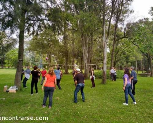 15586 41 NOS VAMOS A PASAR UN DIA DE CAMPO....