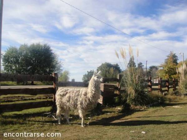 Foto Encuentros Grupales