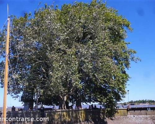 15697 15 PASEO EN CATAMARAN DESDE PUERTO DE OLIVOS-POR LA JONES