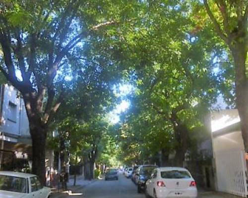 15819 6 VERSALLES-Desde el hijo de la Novia a Esperando la Carroza -POR LA JONES