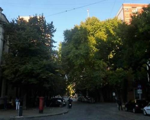 15887 12 SAN TELMO POR LA JONES- DESDE EL ARROYO TERCERO DEL SUR A LOS CONVENTILLOS POR LA JONES