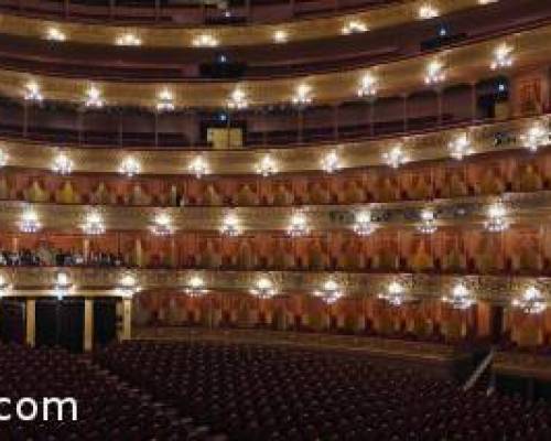 15956 7 TEATRO COLON Y PLAZA LAVALLE- DIA COMPLETO POR LA JONES