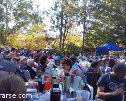 15984 14 FIESTA NACIONAL DEL MONDONGO Y LA TORTA FRITA 