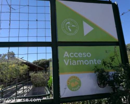 16061 6 CAMINATA POR LOS LAGOS SE TRASLADA A LA COSTANERA SUR