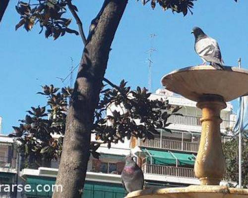 16259 14 FLORES- PLAZA MISERICORDIA, BARRIOS OBREROS Y PAPA FRANCISCO POR LA JONES