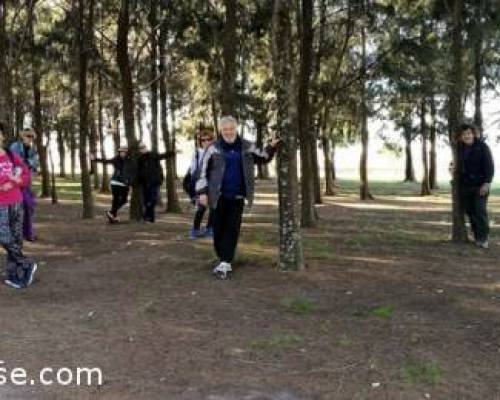 Cada uno con su arbolito :Encuentro Grupal CAMINATA POR LOS LAGOS se Traslada al PARQUE de los NIÑOS