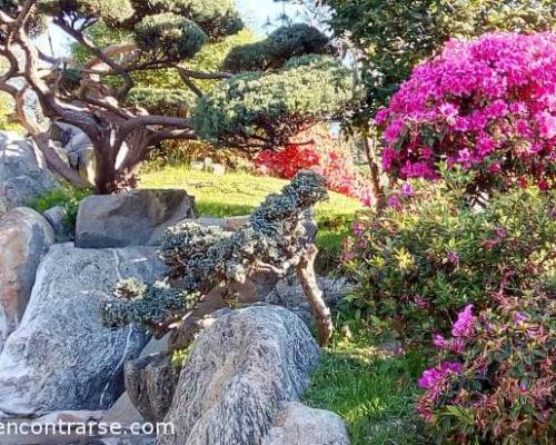 16413 109 PALERMO CHICO -JARDIN JAPONES -DONDOH CEREMONIA DEL FUEGO-POR LA JONES