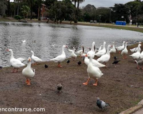 16443 7 CAMINATA A CONCIENCIA