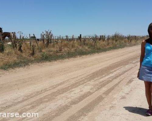 16539 112 CARHUE-EPECUEN-GUATRACHE-GUAMINI-Por la Jones