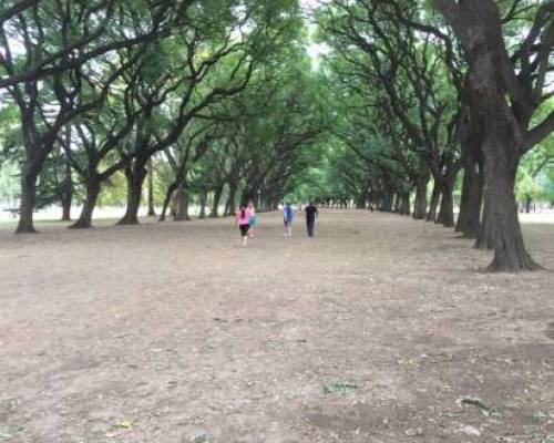 17179 8 PALERMO ENTRENA !!! (caminamos, corremos, trotamos y tomamos mate)