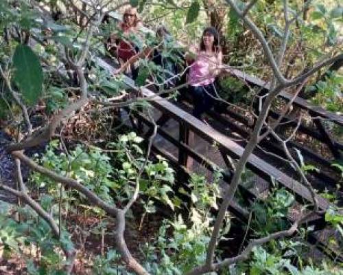 17302 7 VIAJAMOS EN EL TREN DE LA COSTA Y VISITAMOS LA RESERVA ECOLOGICA DE V. LOPEZ