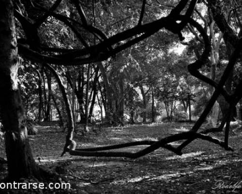 17549 42 SALIDA FOTOGRÁFICA AL  JARDÍN BOTÁNICO  