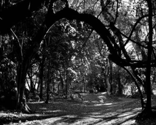 17549 43 SALIDA FOTOGRÁFICA AL  JARDÍN BOTÁNICO  