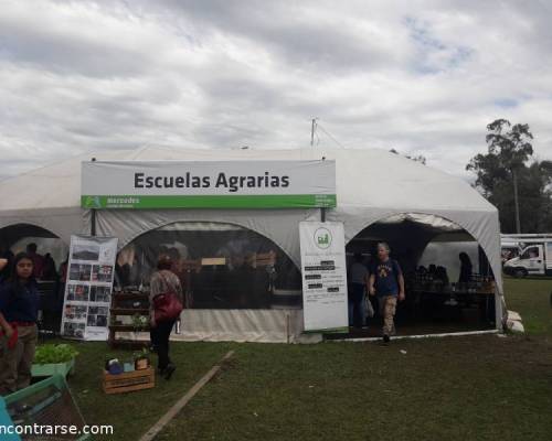 17763 13 44a FIESTA DEL SALAME QUINTERO