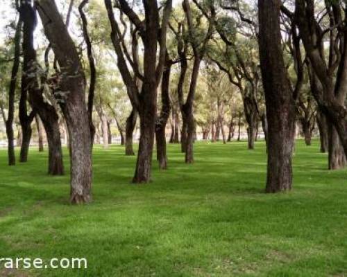 17838 14 PALERMO ENTRENA Y TAMBIEN MATEA !!! (caminamos, corremos, trotamos)