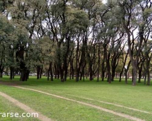 17838 15 PALERMO ENTRENA Y TAMBIEN MATEA !!! (caminamos, corremos, trotamos)