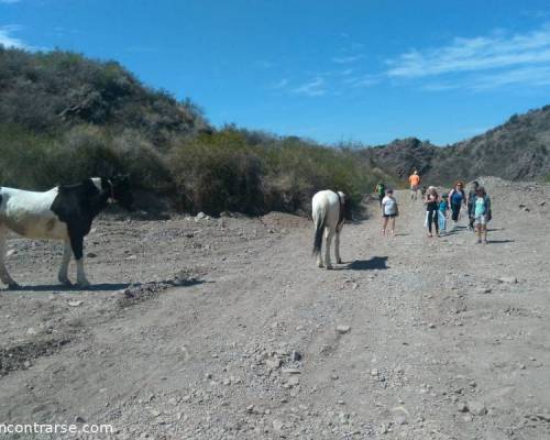 17901 30 EXCURSIÓN AL ENTORNO DE  LA PIEDRA ENERGÉTICA “ISIDRIS”