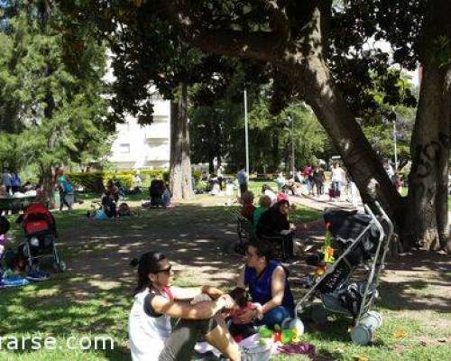 17973 14 CABALLITO DESDE EL PARQUE RIVADAVIA AL CENTENARIO POR LA JONES