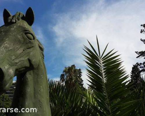 17973 15 CABALLITO DESDE EL PARQUE RIVADAVIA AL CENTENARIO POR LA JONES