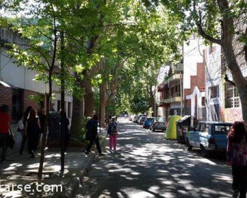 17974 26 PARQUE CHAS, UN LABERINTO MAGICO, POR LA JONES