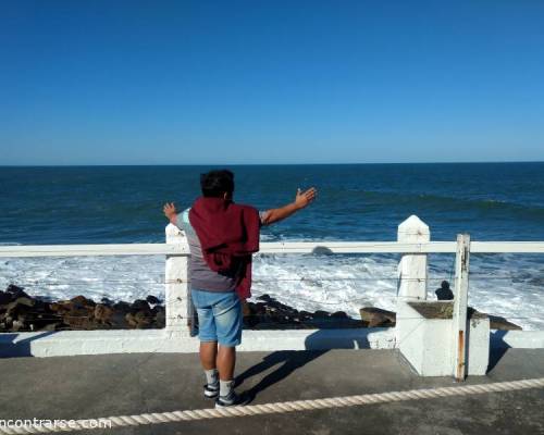 18026 28 LOS DESFACHATADOS EN MAR DEL PLATA