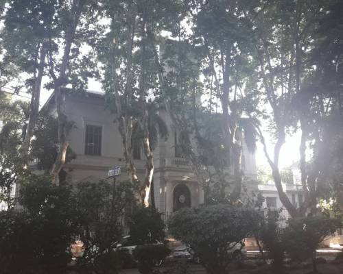 18119 17 VILLA DEVOTO, UN JARDIN EN BUENOS AIRES, POR LA JONES