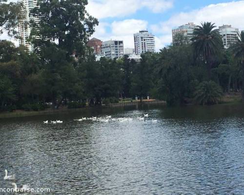 18143 6 PALERMO ENTRENA Y TAMBIEN MATEA !!! (caminamos, corremos, trotamos)