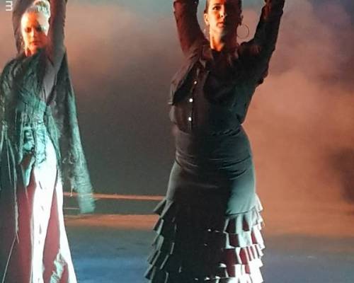 18254 9 MUESTRA FLAMENCA EN ALMAGRO