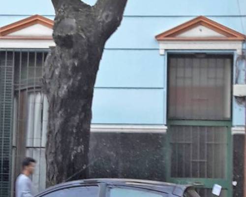 18335 6 Palermo Viejo, de Plaza Italia a Villa Alvear, por la Jones