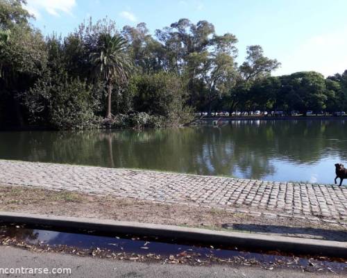 18698 3 CAMINAMOS DOMINGO A LA TARDE CON AMIGOS 