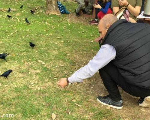 Herminio demostrando su cariño por las aves :Encuentro Grupal OTRA MIRADA EN LA RESERVA ECOLÓGICA COSTANERA SUR (RECS)