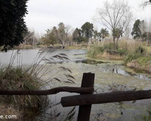 19208 10 Campanopolis, en Combi, ida y vuelta... varios puntos de encuentro por La Jones