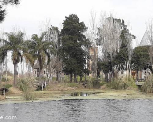 19208 2 Campanopolis, en Combi, ida y vuelta... varios puntos de encuentro por La Jones