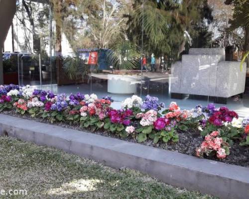 19480 10 Villa Devoto, un jardín en Buenos Aires.