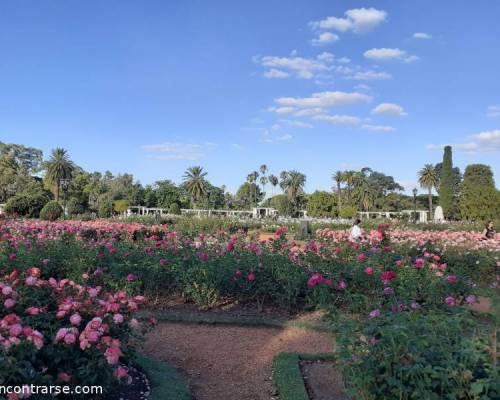 19861 7 Palermo, Jardínes Históricos , Rosedal y Alrededores, por la Jones