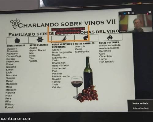 21451 10 Charlando Sobre Vinos VII
