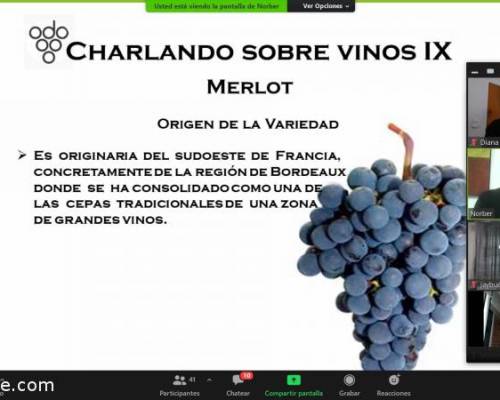 21551 3 Charlando Sobre Vinos IX