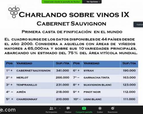 21551 6 Charlando Sobre Vinos IX