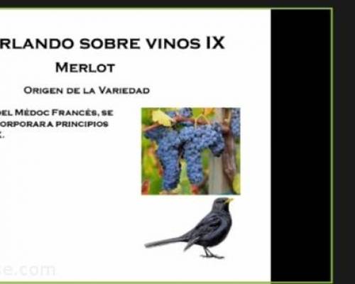 21551 7 Charlando Sobre Vinos IX