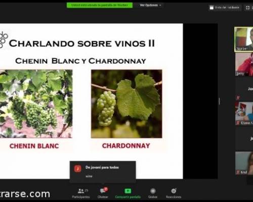 21621 2 Charlando Sobre Vinos II - Repetición